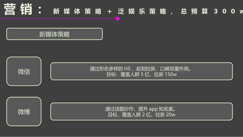 app运营方案_第3页