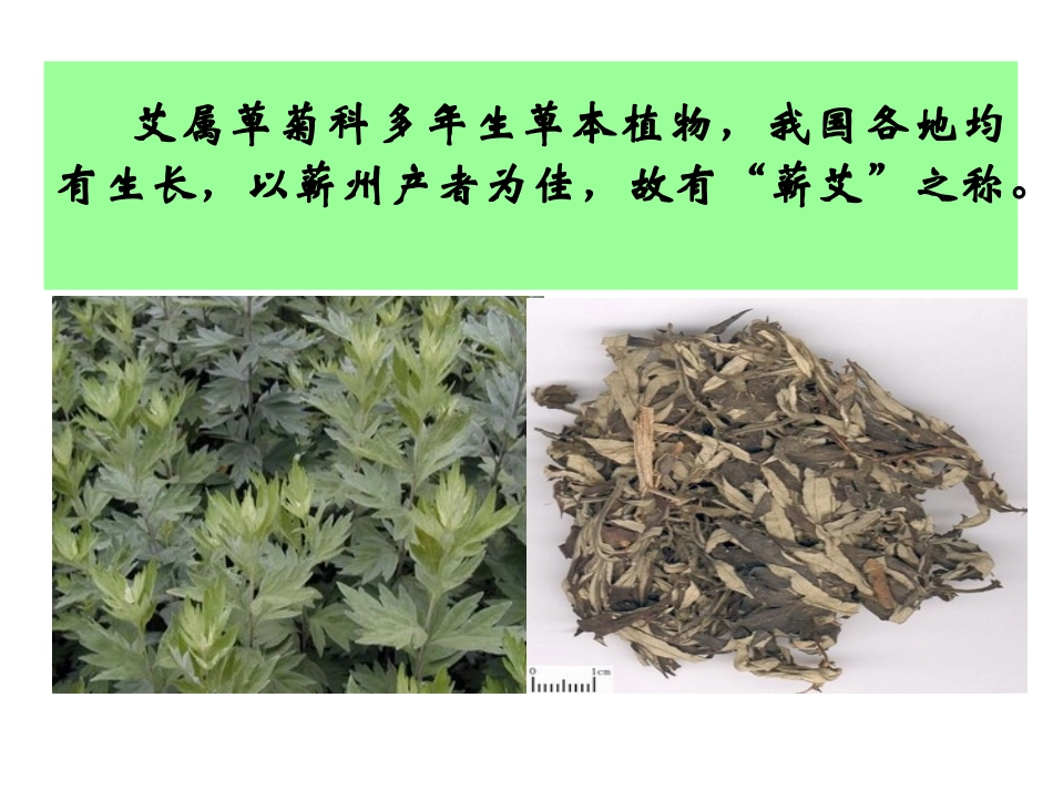 艾灸疗法课件_第3页