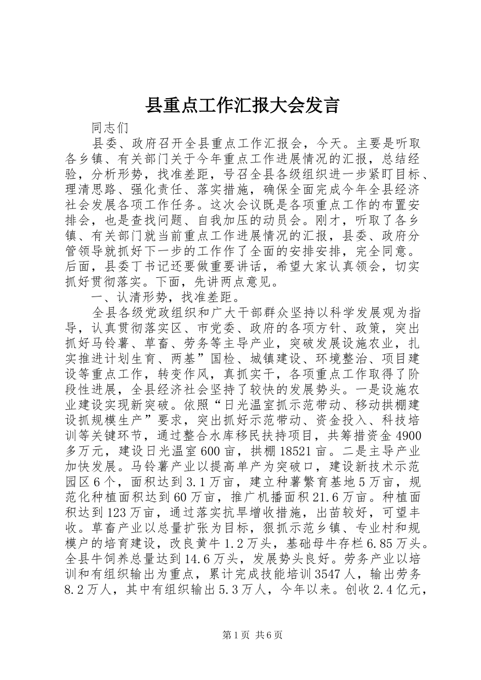 县重点工作汇报大会发言_第1页