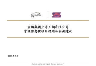 宝钢集团信息化咨询方案