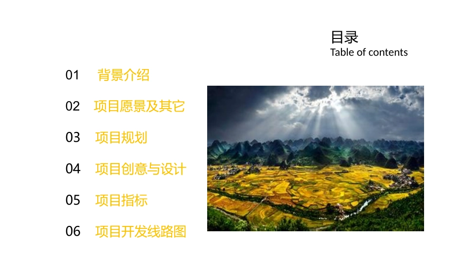 XXX农业产业园农旅双链模式汇报_第3页