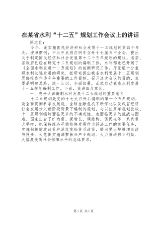 在某省水利“十二五”规划工作会议上的讲话