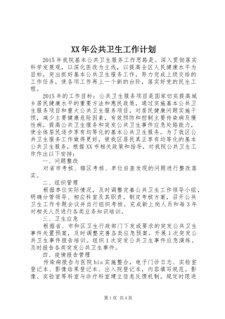 XX年公共卫生工作计划