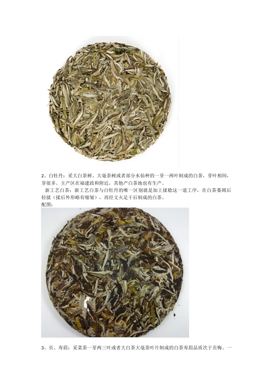 白茶知识大全配图_第2页