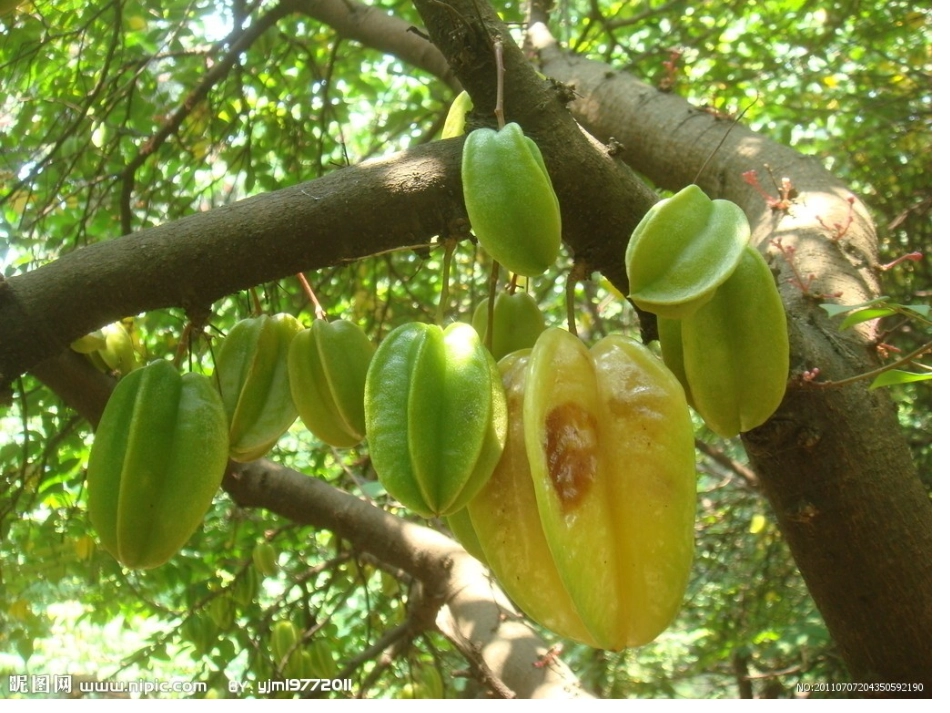 北师大版六年级数学   观察物体_第2页