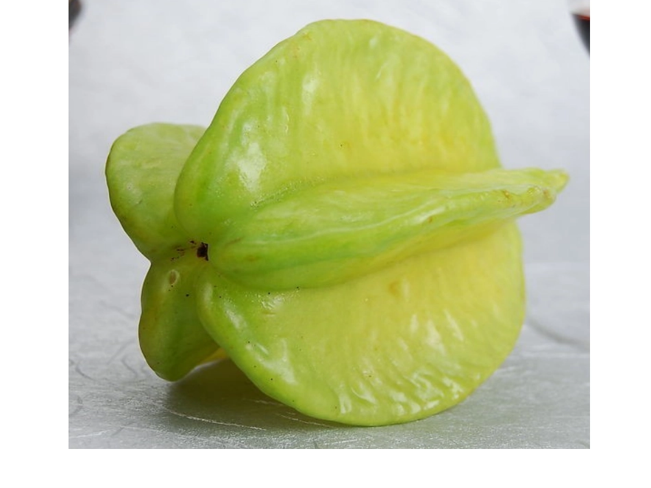 北师大版六年级数学   观察物体_第3页