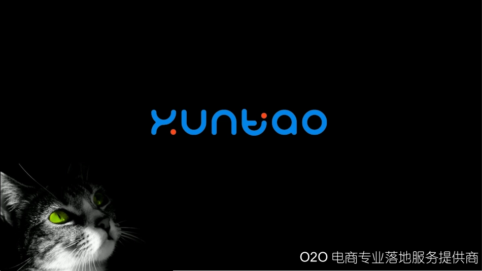 O2O电商平台系统解决方案_第1页