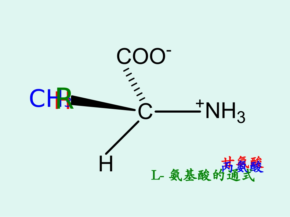 氨基酸的结构和功能_第3页