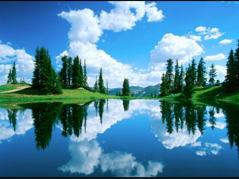 保护生态环境PPT_第3页