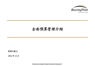 毕马威-全面预算管理介绍