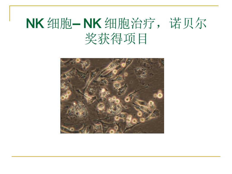 NK细胞疗法_第1页