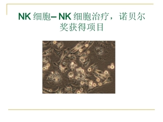 NK细胞疗法