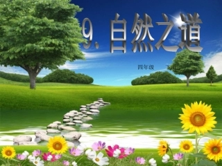 《自然之道》课件