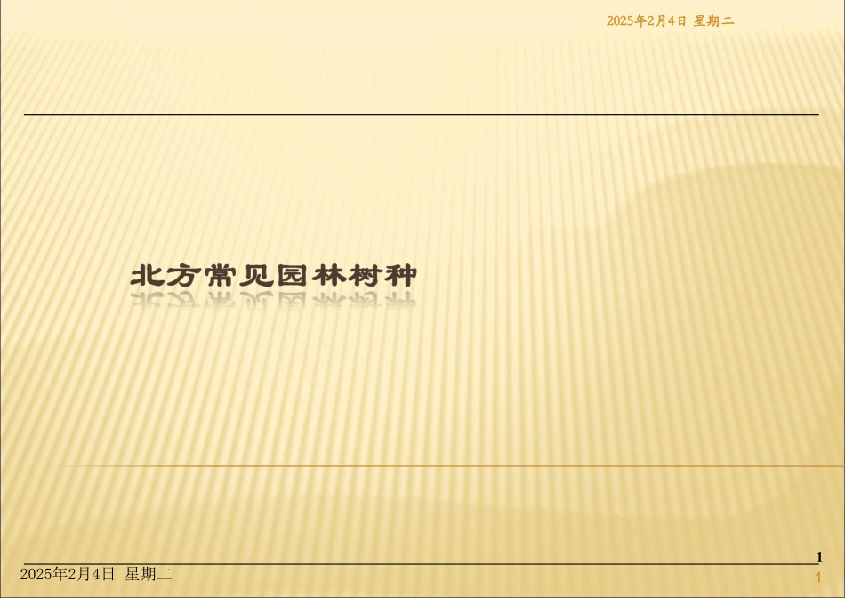 北方常见园林树种_第1页