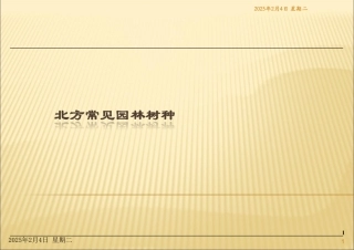 北方常见园林树种