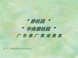 碧桂园房地产策划方案