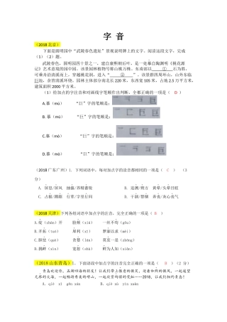 2018语文中考分类汇编——字音