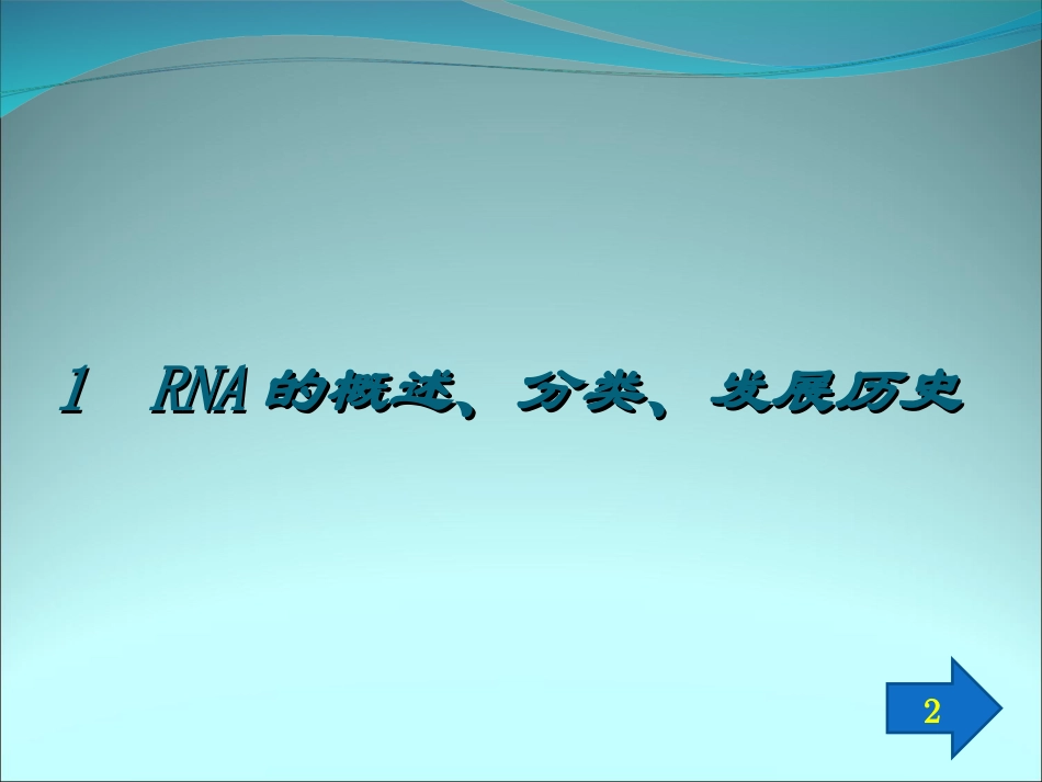 RNA的结构与功能_第3页