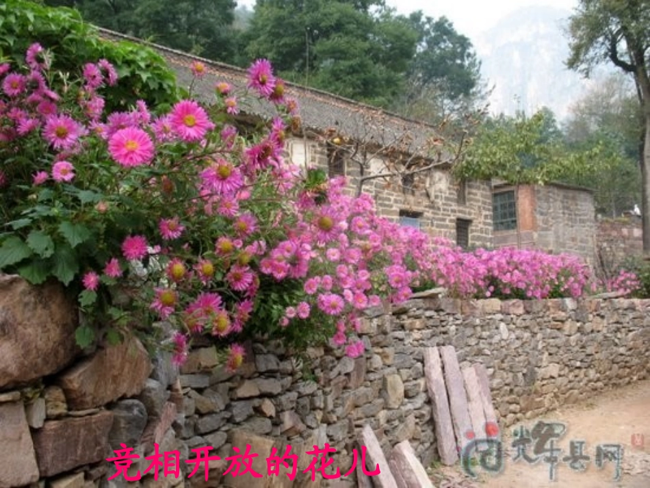 《乡下人家》第一课时课件_第1页