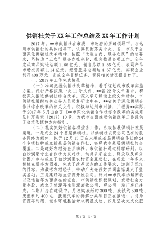 供销社关于XX年工作总结及XX年工作计划