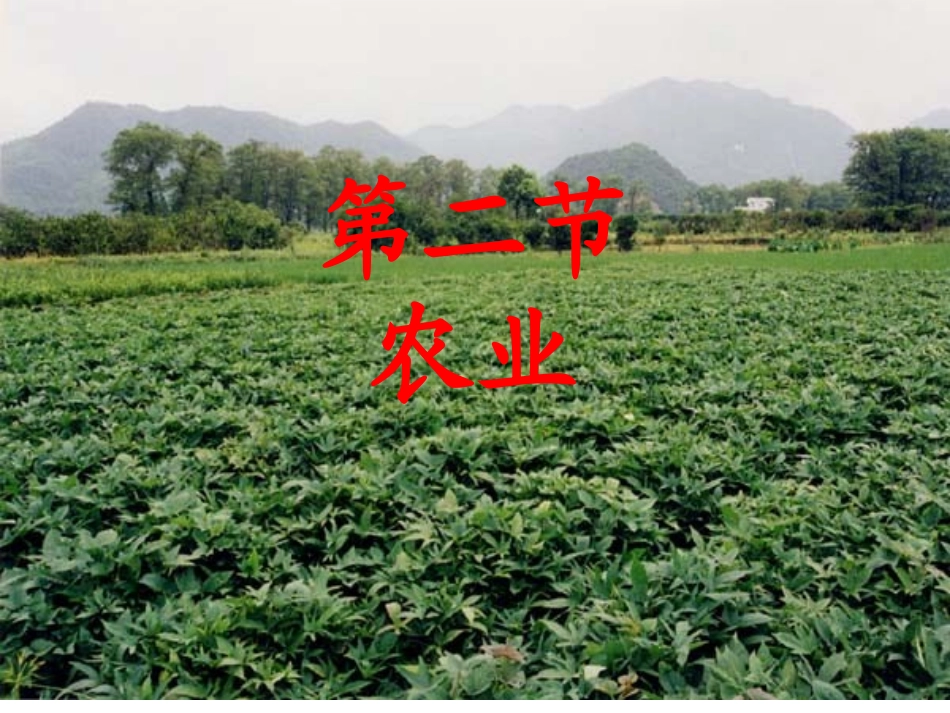 八年级地理上册《农业》课件(34张ppt)_第1页