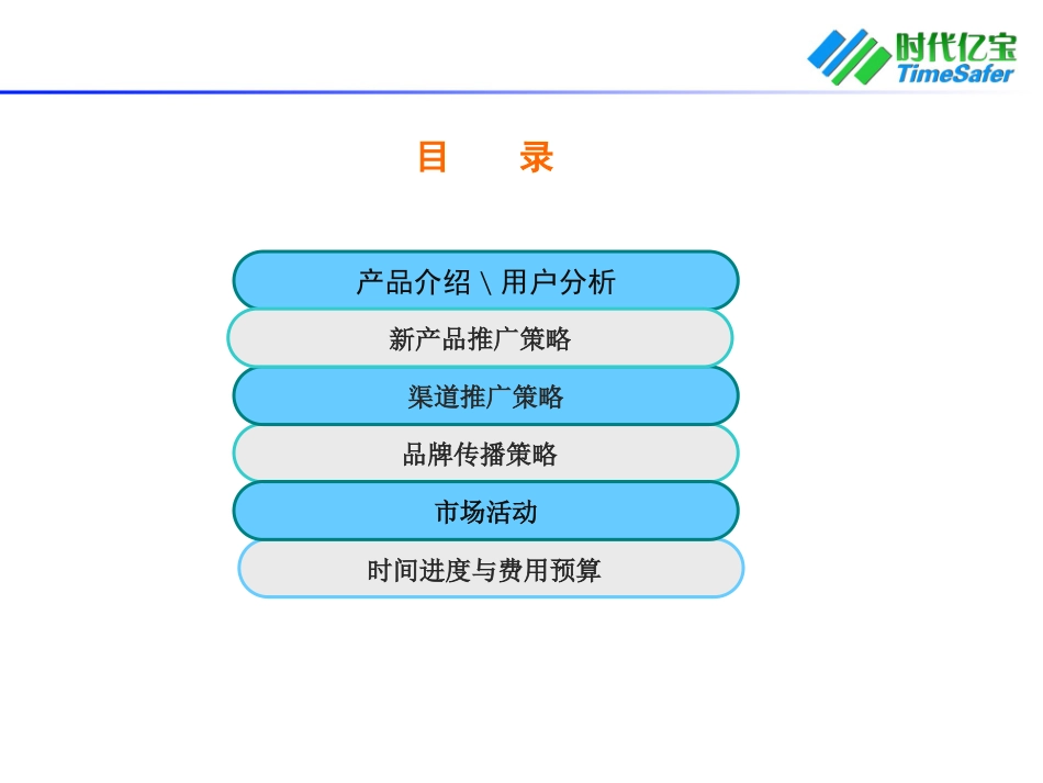 XXX品牌推广年度规划与预算_第2页