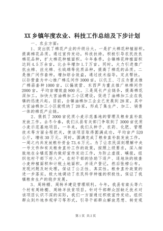 XX乡镇年度农业、科技工作总结及下步计划