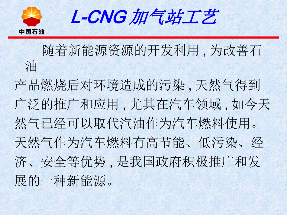 L-CNG加气站工艺_第2页