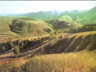 白杨礼赞（上传