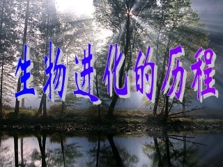 生物进化的历程