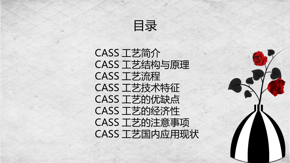 CASS工艺介绍_第2页