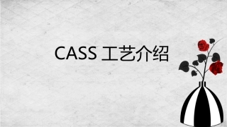 CASS工艺介绍