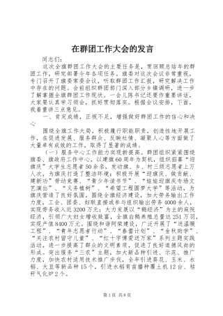 在群团工作大会的发言