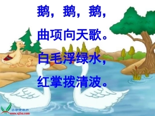 《白鹅》讲课