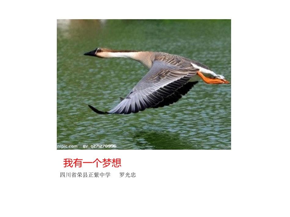 我有一个梦想_第1页