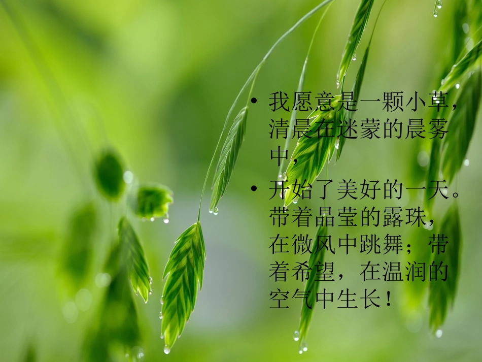 我有一个梦想_第2页