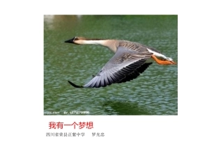 我有一个梦想