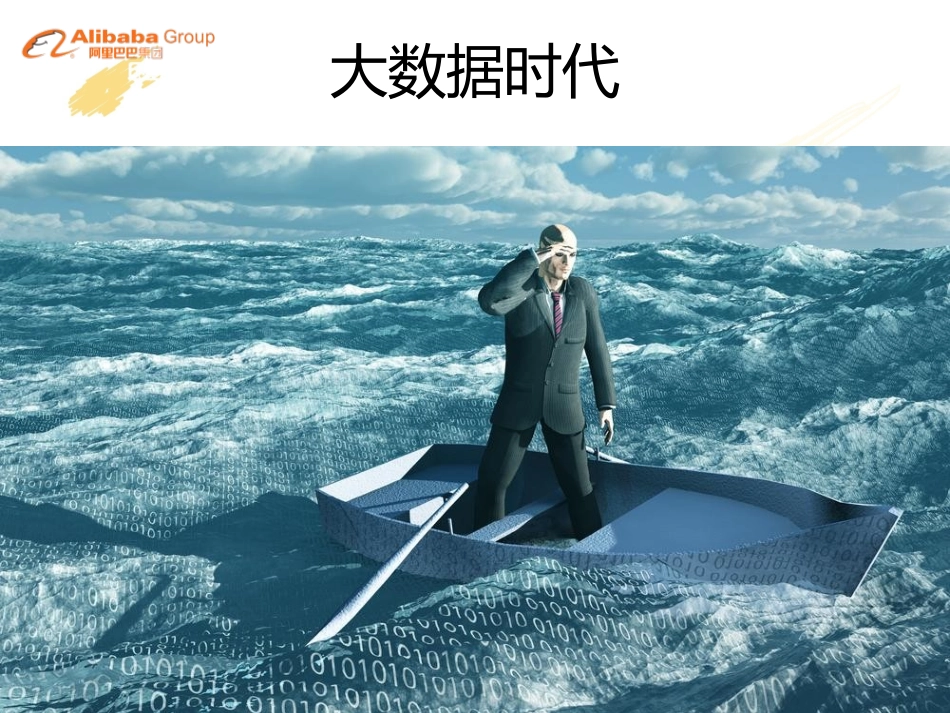 阿里巴巴离线大数据处理平台_第3页