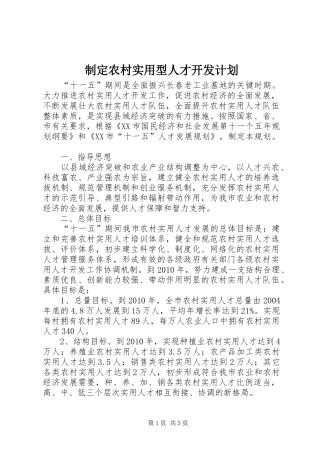 制定农村实用型人才开发计划
