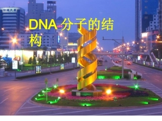 DNA分子结构