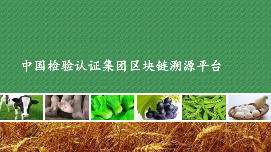 CCIC区块链溯源设计方案_第1页