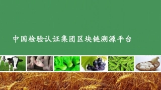 CCIC区块链溯源设计方案