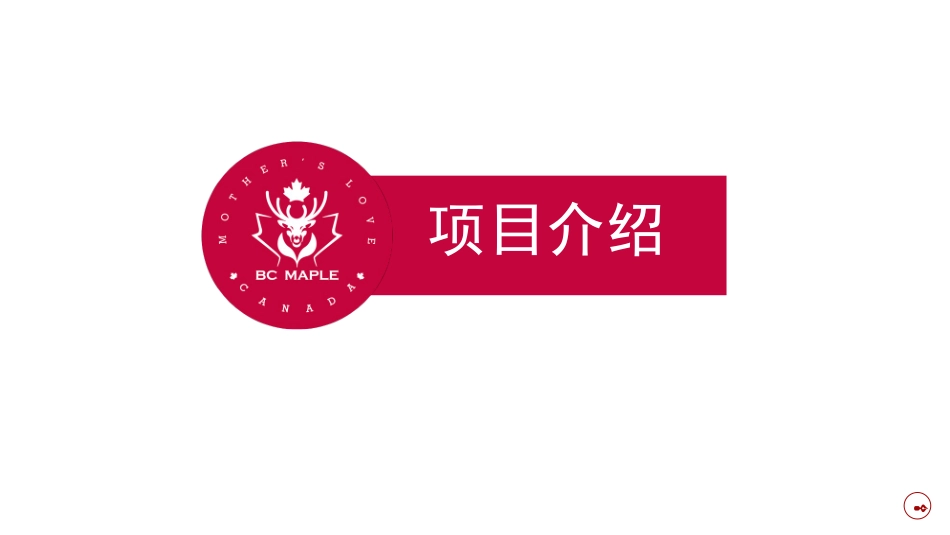 贝斯枫岭国际教育集团商业计划书_第2页