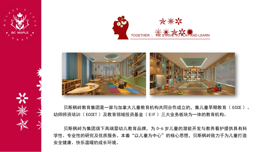 贝斯枫岭国际教育集团商业计划书_第3页