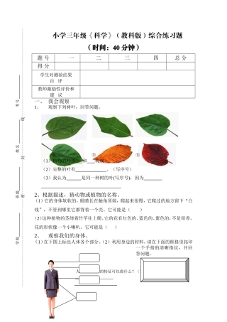 小学三年级科学(教科版)综合练习题