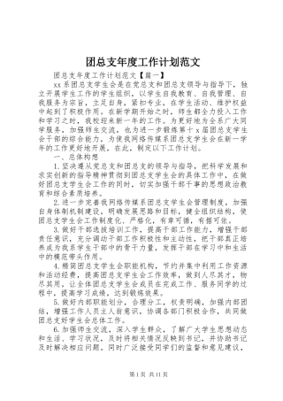 团总支年度工作计划范文