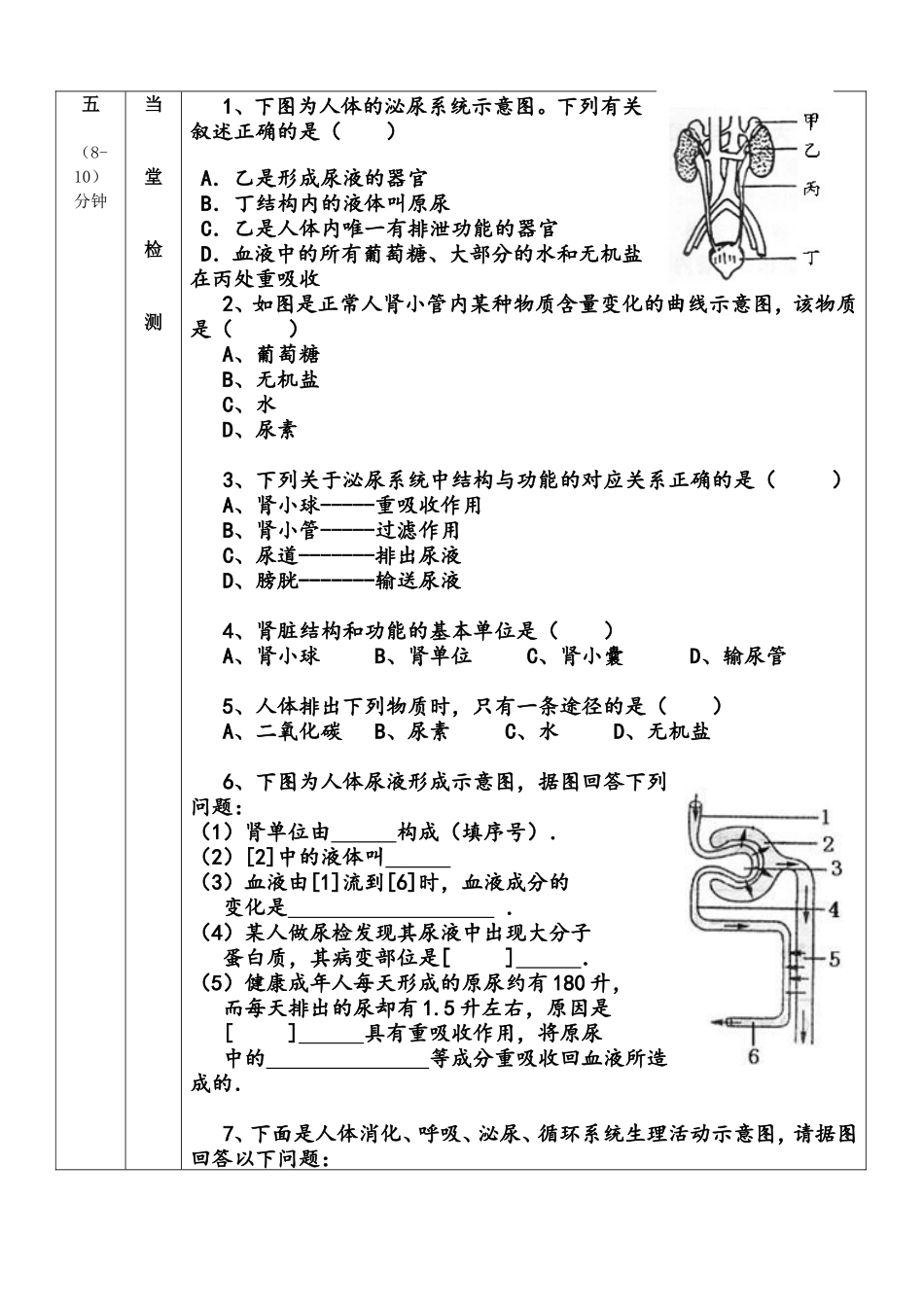泌尿系统教案_第3页