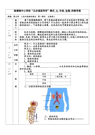 泌尿系统教案