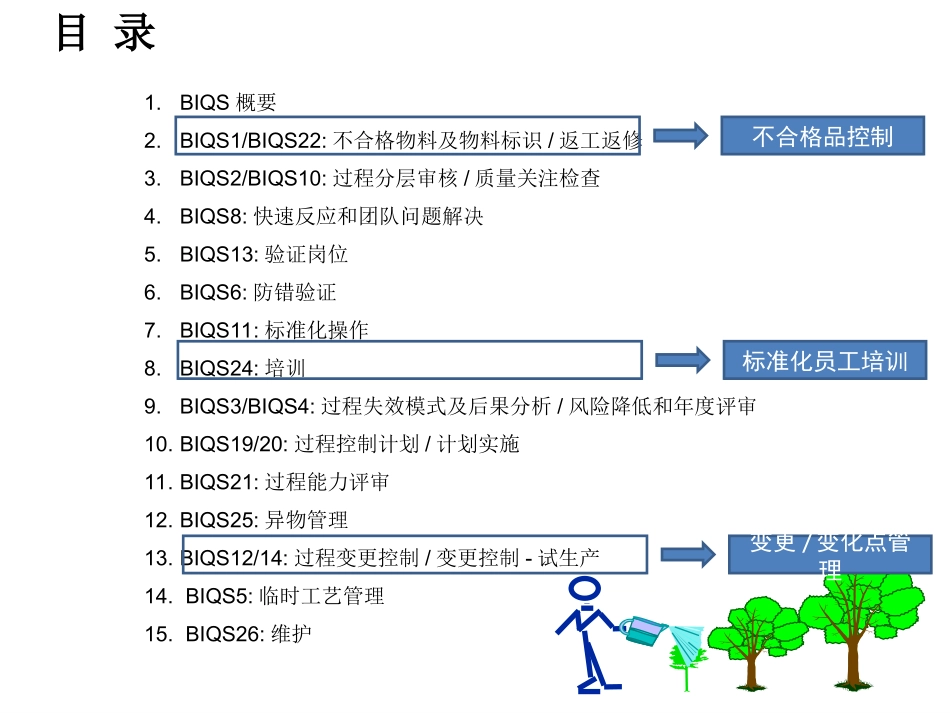 BIQS基础培训_第2页