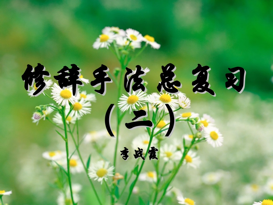 修辞手法总复习（二_第2页